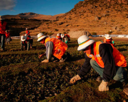 Responsabilidad social en minería: se requiere articular los esfuerzos