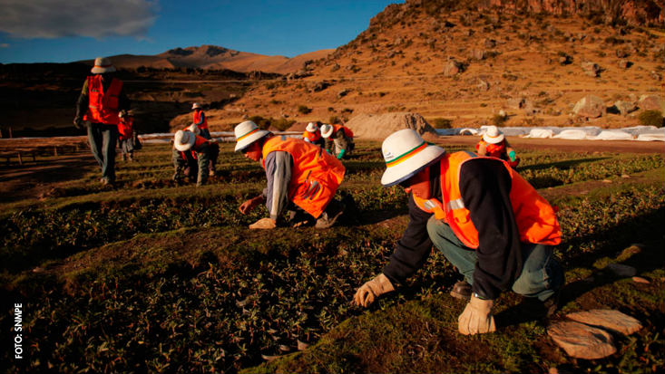 Responsabilidad social en minería: se requiere articular los esfuerzos