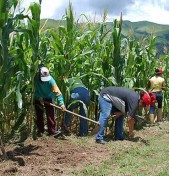 PBI crecio 3.26% en julio