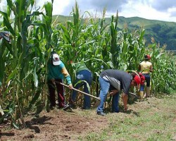 PBI crecio 3.26% en julio