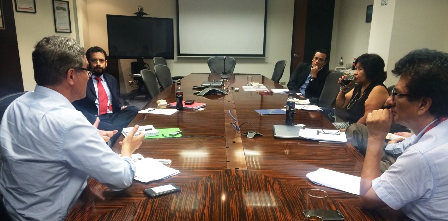 Sexta reunión del Grupo de trabajo de recomendaciones sobre los EIAs