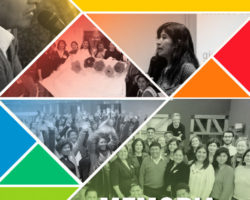 GDMDS: Memoria anual 2018