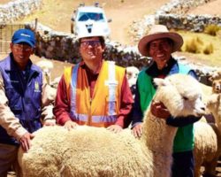 Hacer la diferencia en minería para su sostenibilidad