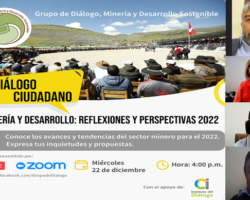 Reflexiones sobre la minería y el desarrollo ante un escenario de conflictividad social permanente