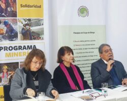 INICIATIVA PARA EL DESARROLLO DE UNA POLÍTICA PUBLICA PARA LA MAPE